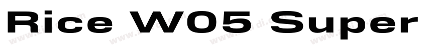 Rice W05 Super Narro字体转换 Rice W05 Super Narro字体转换